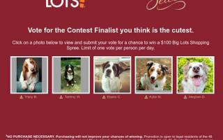 Big Lots American Kennel Club