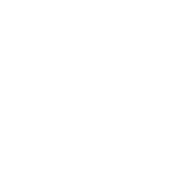 Shield Icon